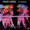 CRAZY HORSE LE SHOW